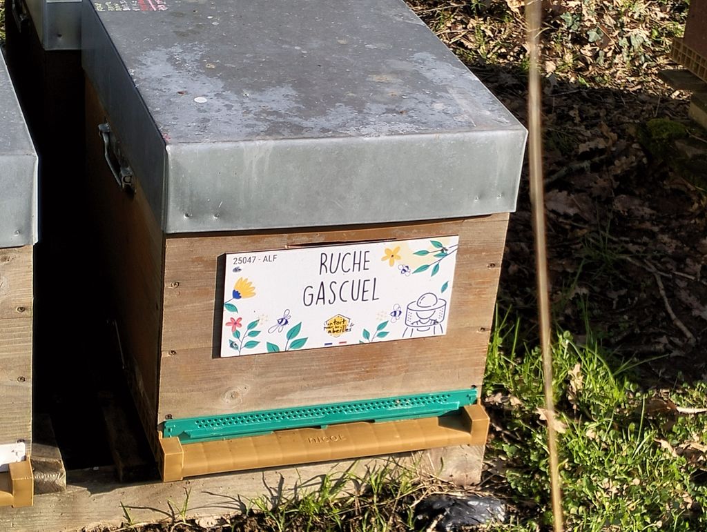 La ruche Gascuel