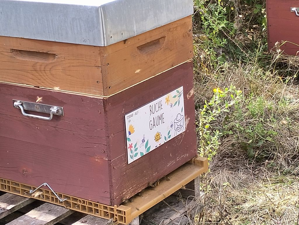 La ruche Gaume