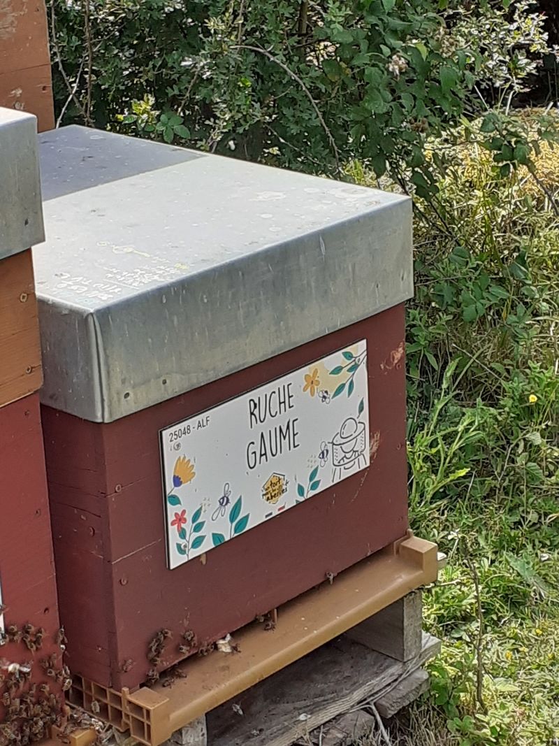 La ruche Gaume