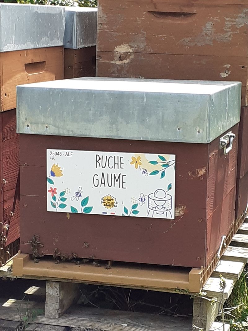 La ruche Gaume