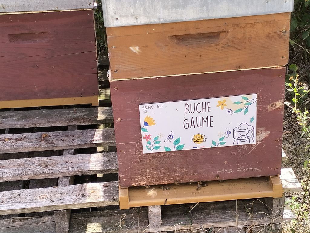 La ruche Gaume