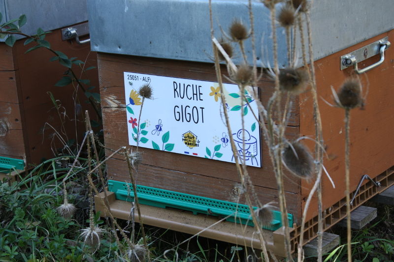 La ruche