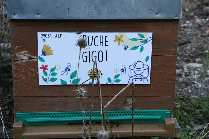 La ruche Gigot