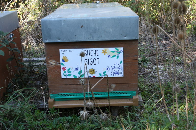 La ruche Gigot