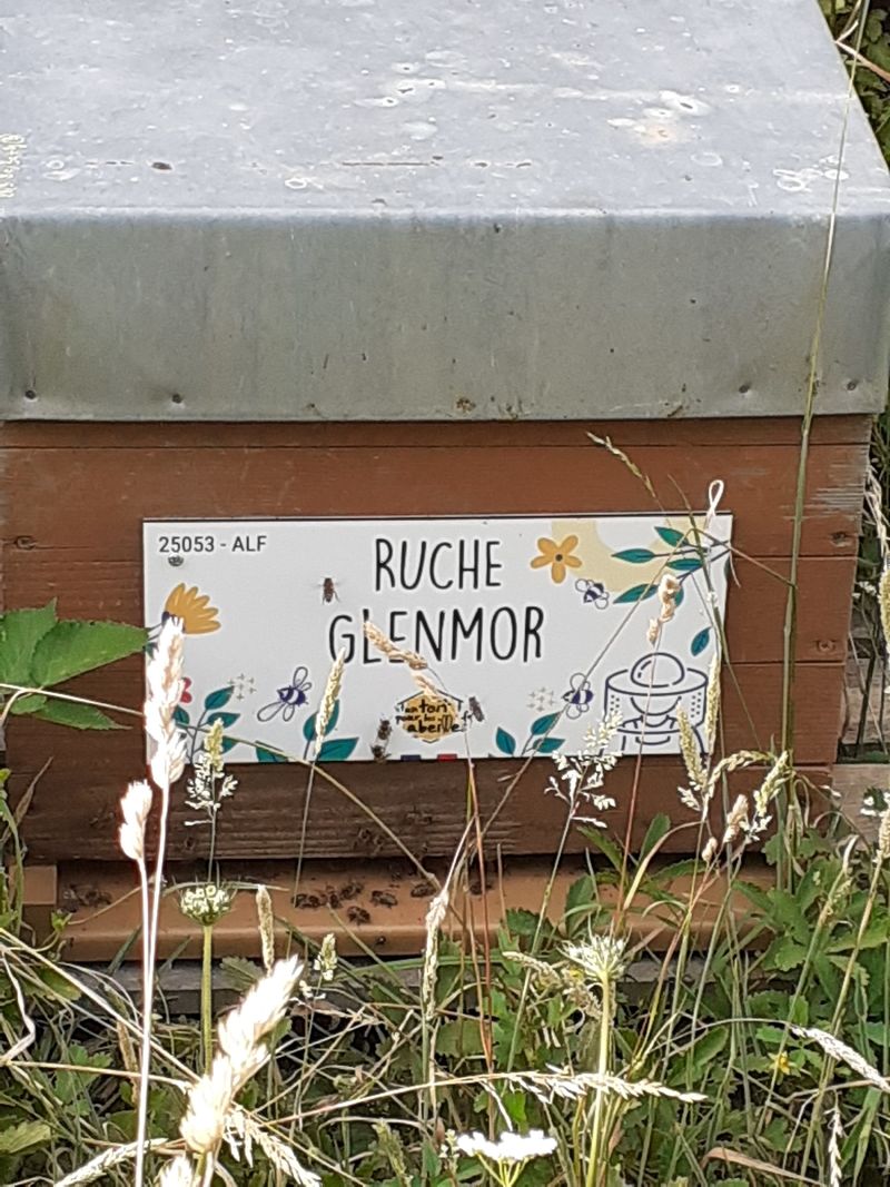 La ruche Glenmor