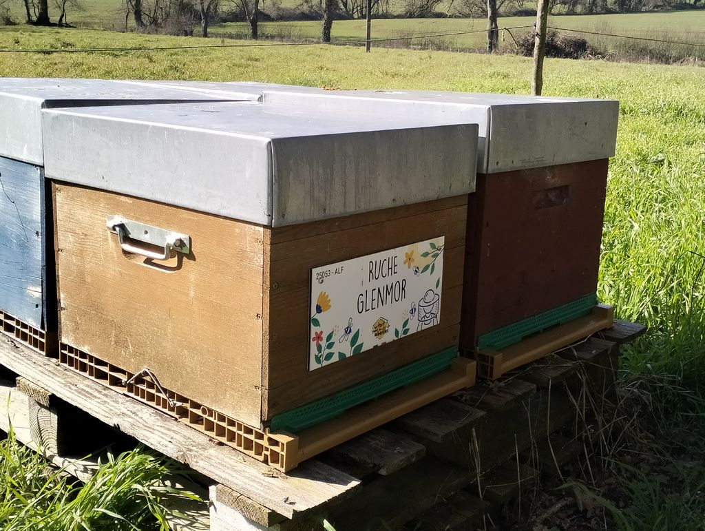 La ruche Glenmor