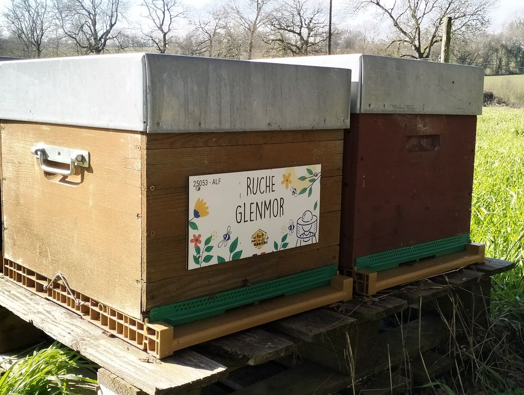 La ruche Glenmor