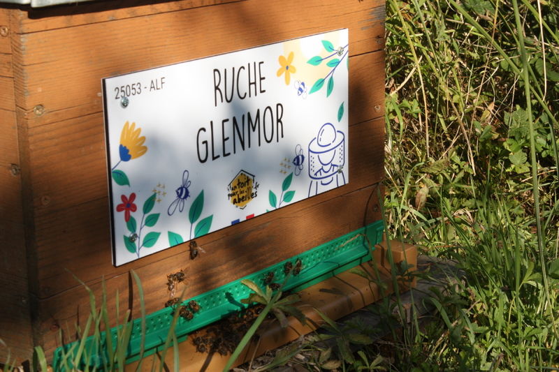 La ruche Glenmor