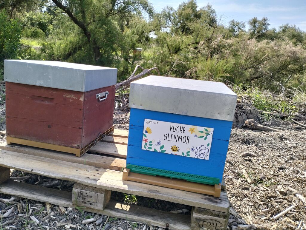 La ruche Glenmor