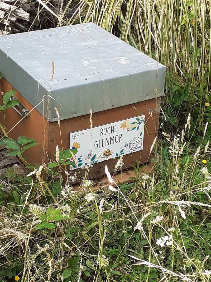 La ruche Glenmor