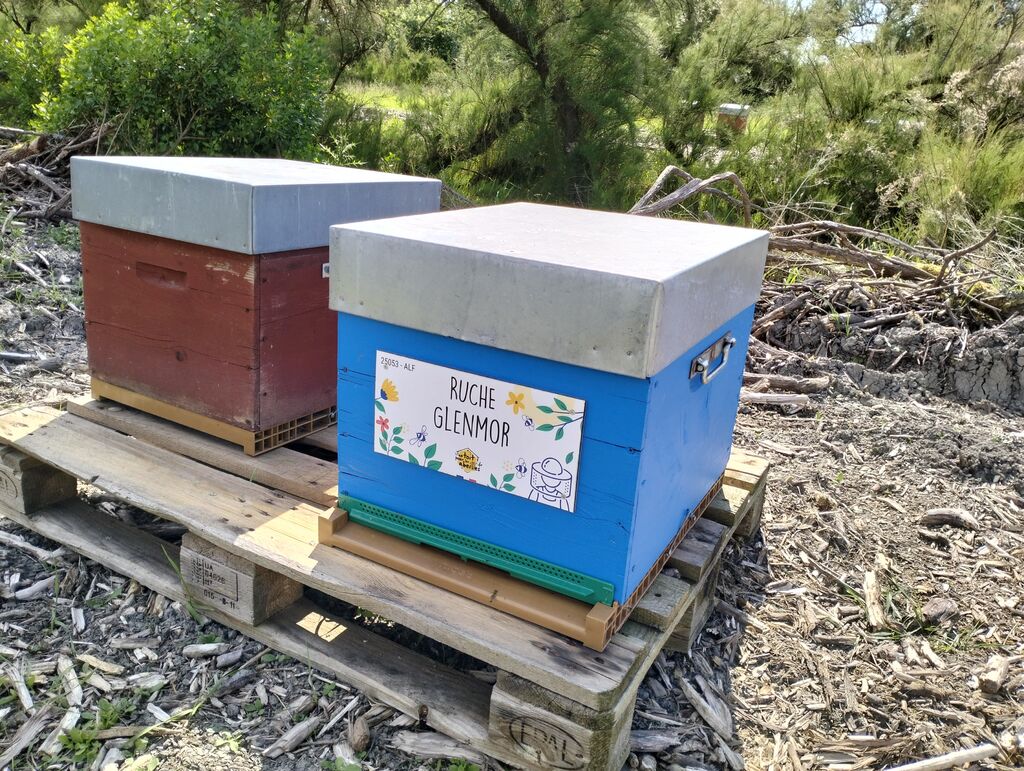 La ruche Glenmor
