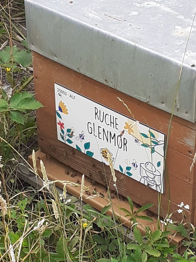La ruche Glenmor