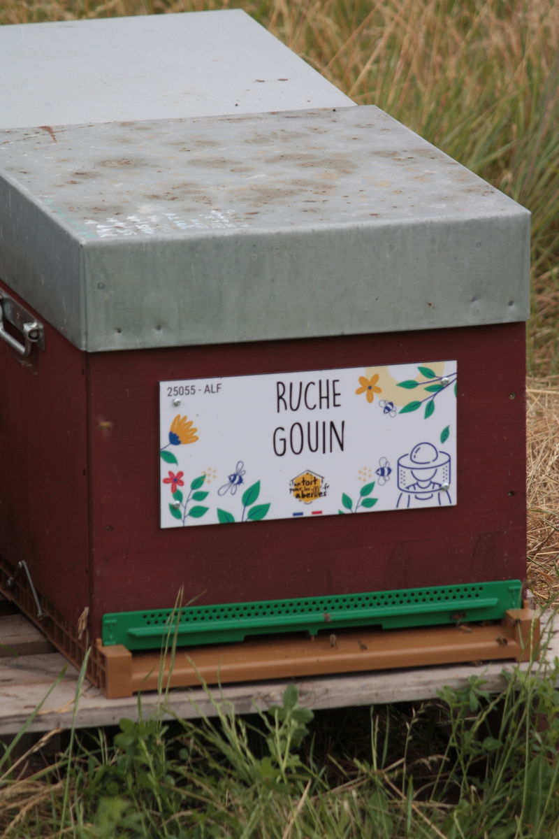 La ruche Gouin