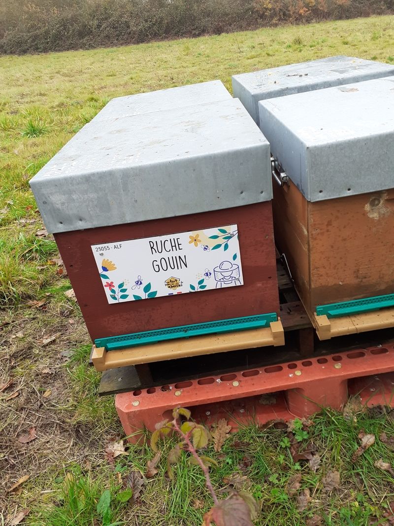 La ruche Gouin
