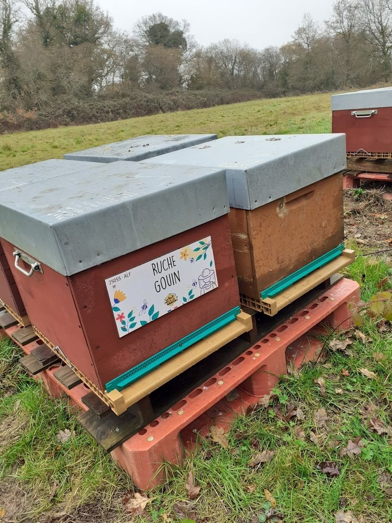 La ruche Gouin