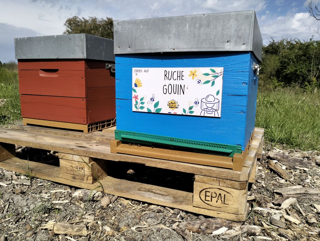 La ruche Gouin