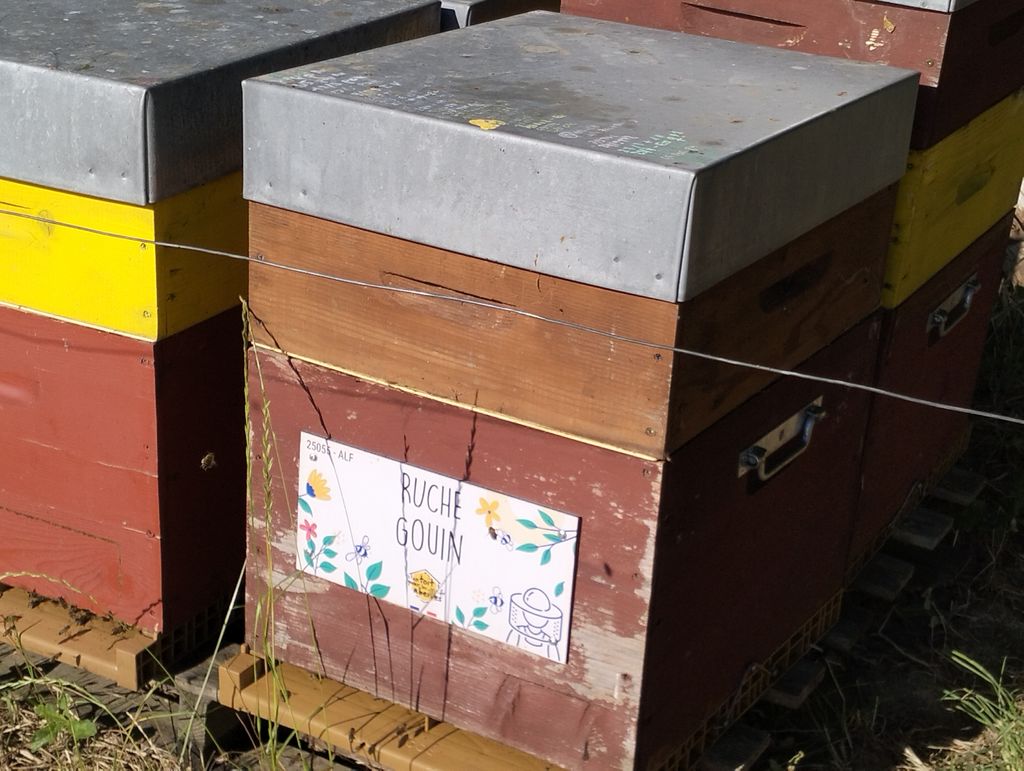La ruche Gouin