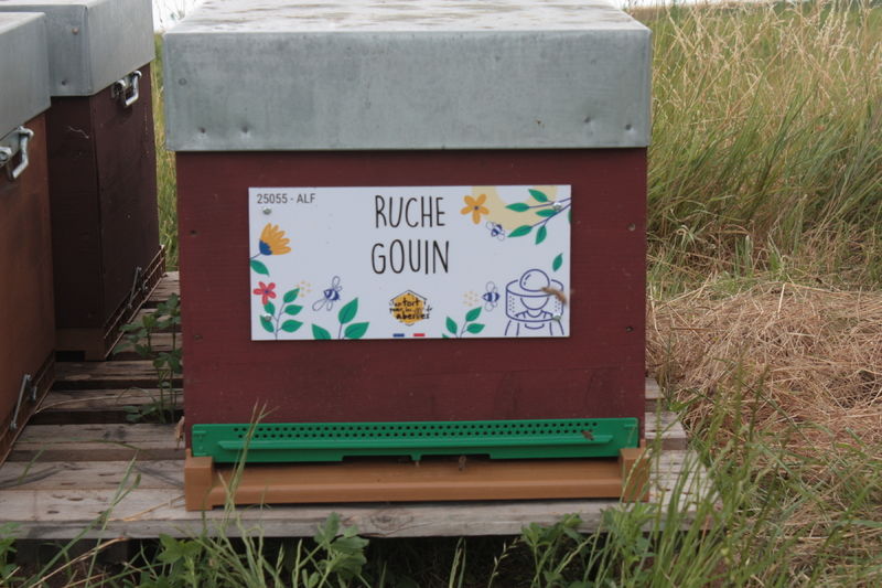 La ruche Gouin