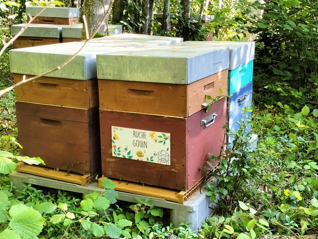 La ruche Gouin