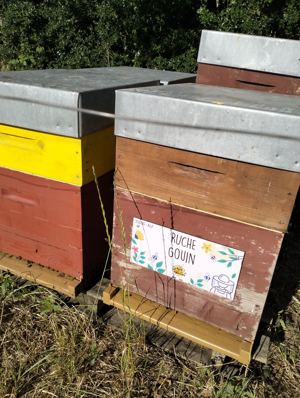 La ruche Gouin