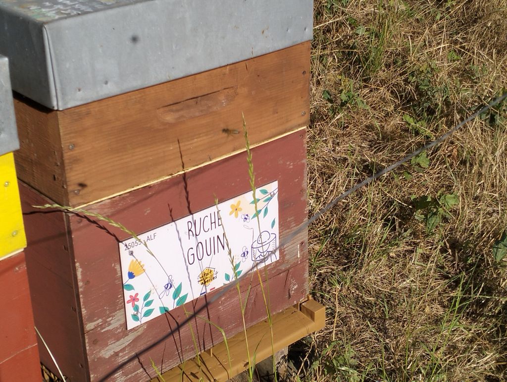 La ruche Gouin