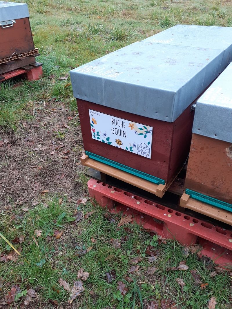 La ruche Gouin