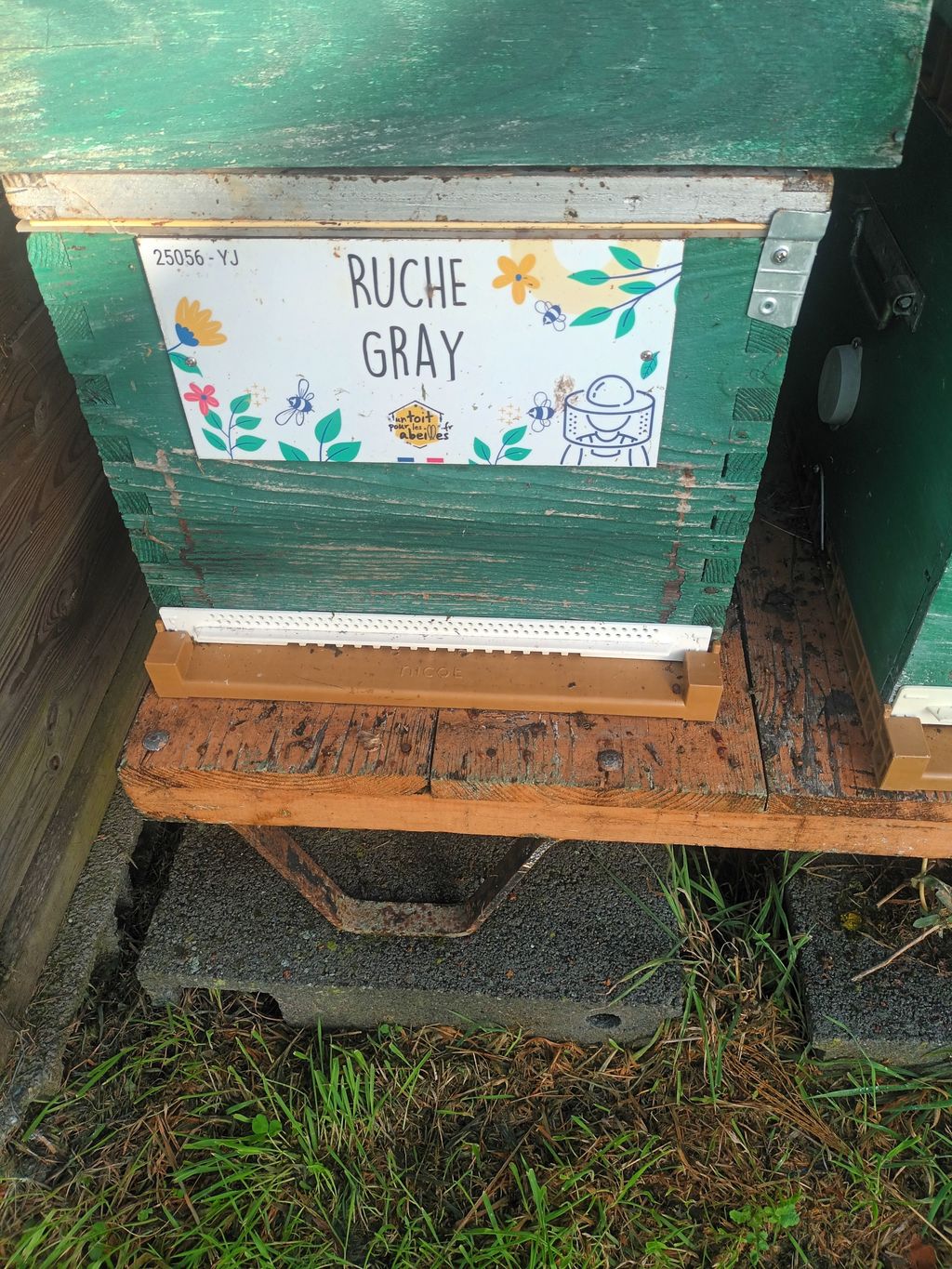 La ruche Gray