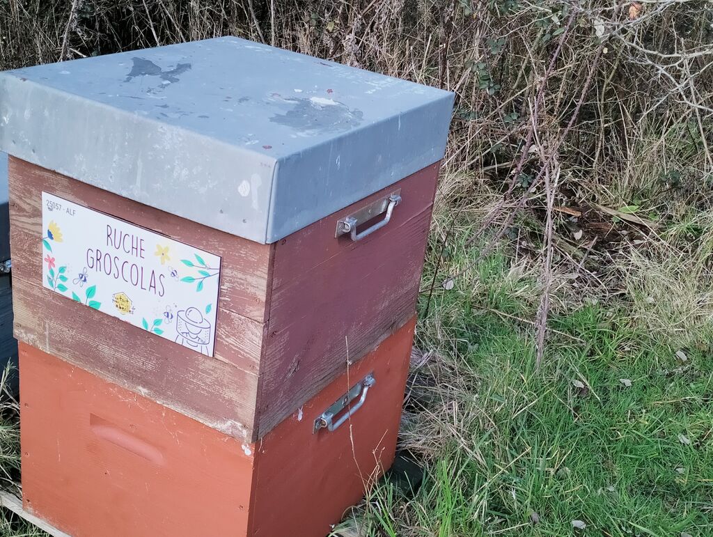 La ruche Groscolas