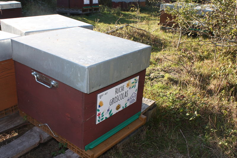 La ruche Groscolas