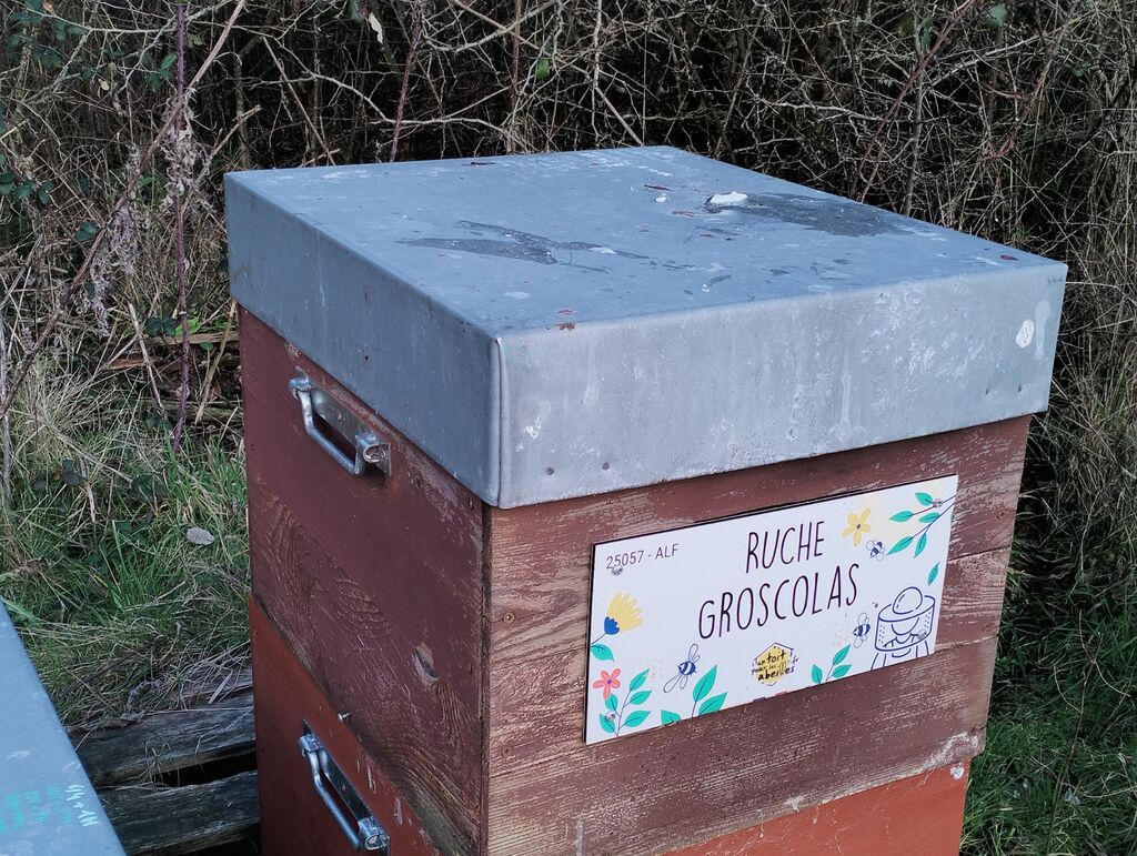 La ruche Groscolas