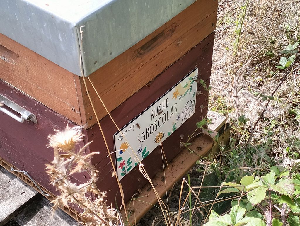 La ruche Groscolas