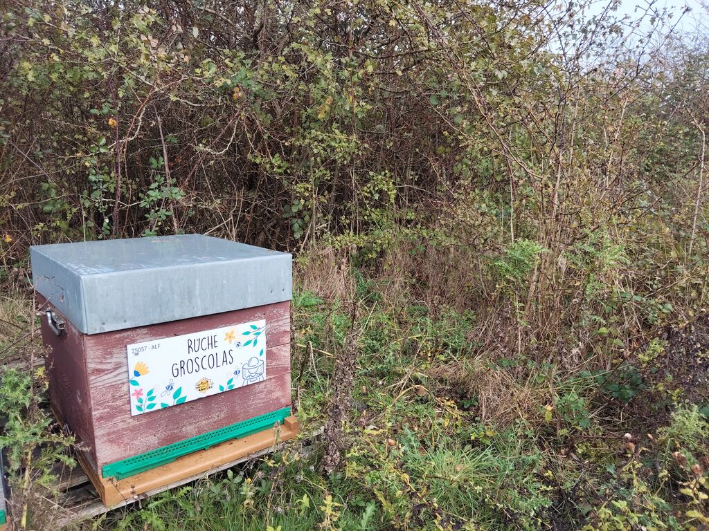 La ruche Groscolas