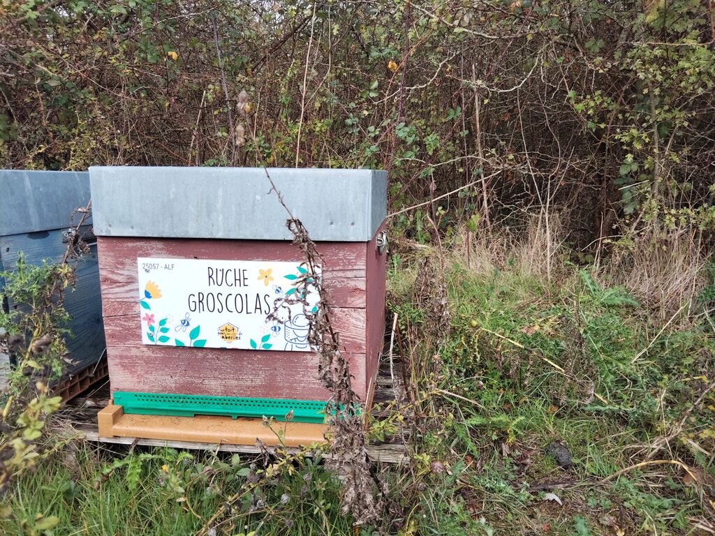 La ruche Groscolas