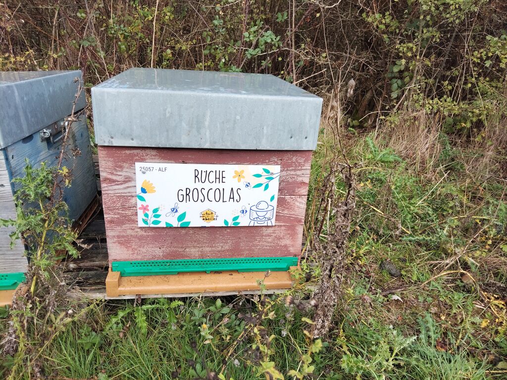 La ruche Groscolas