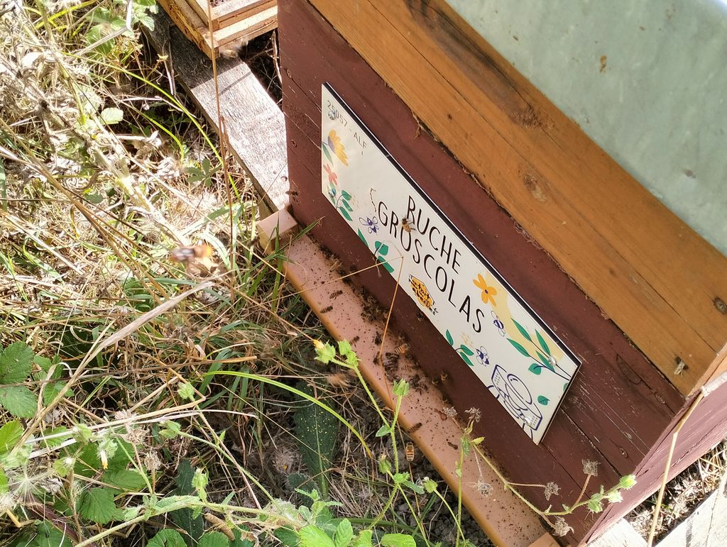 La ruche Groscolas
