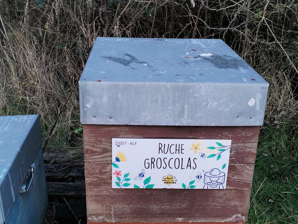 La ruche Groscolas