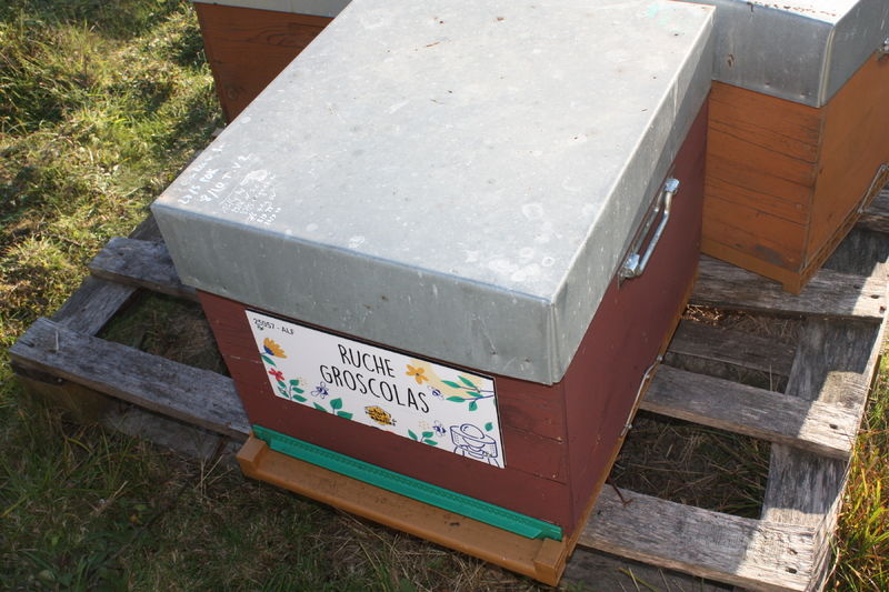 La ruche Groscolas