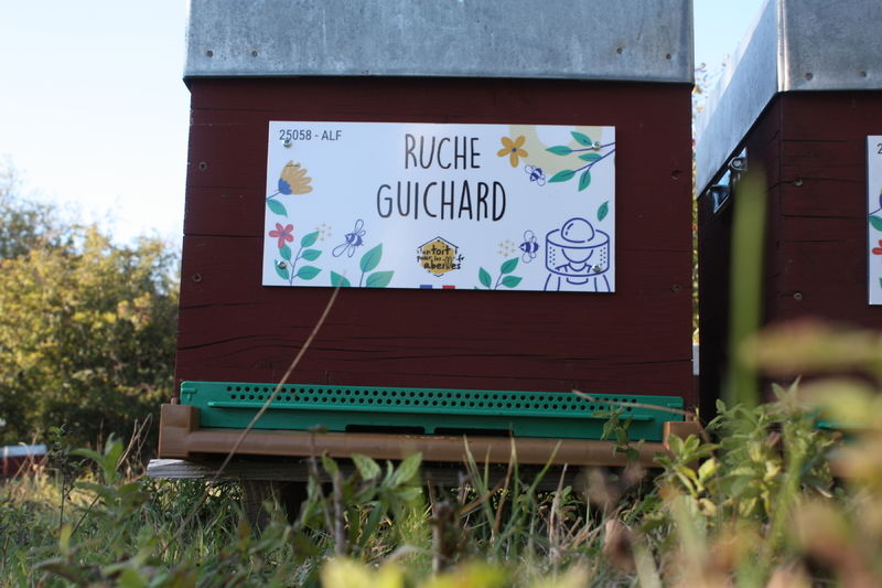 La ruche Guichard