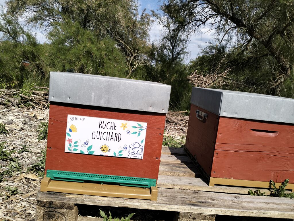 La ruche Guichard