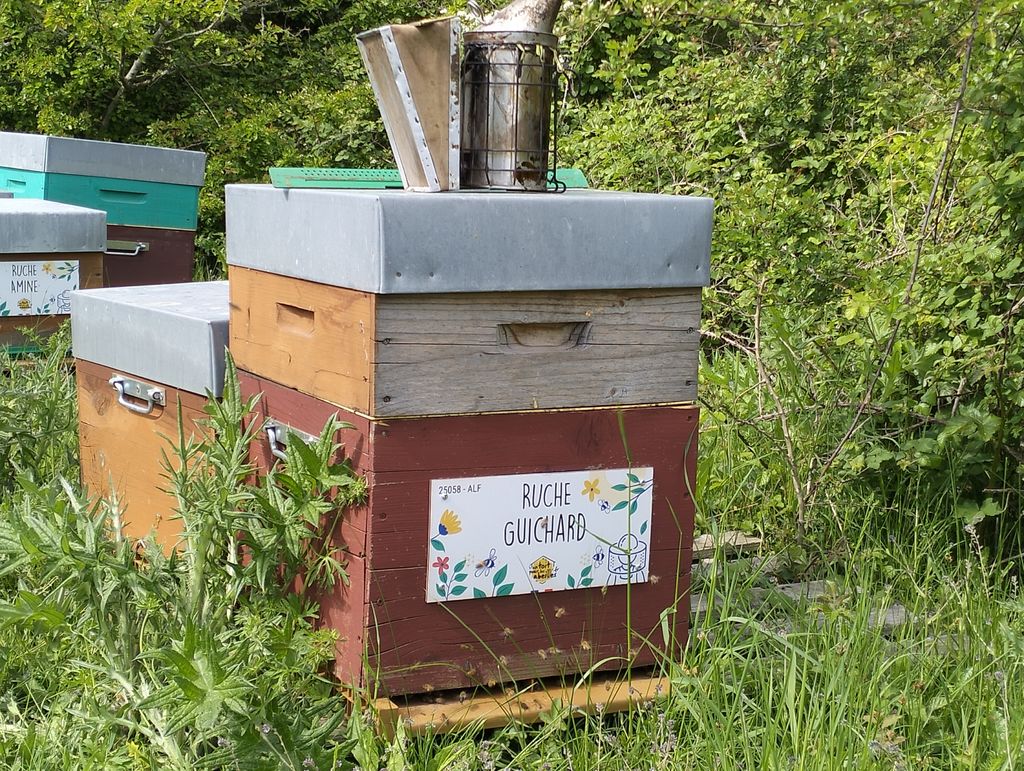 La ruche Guichard