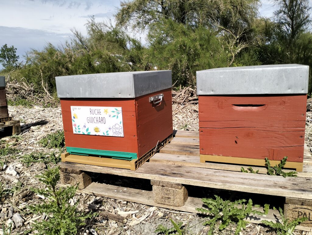 La ruche Guichard