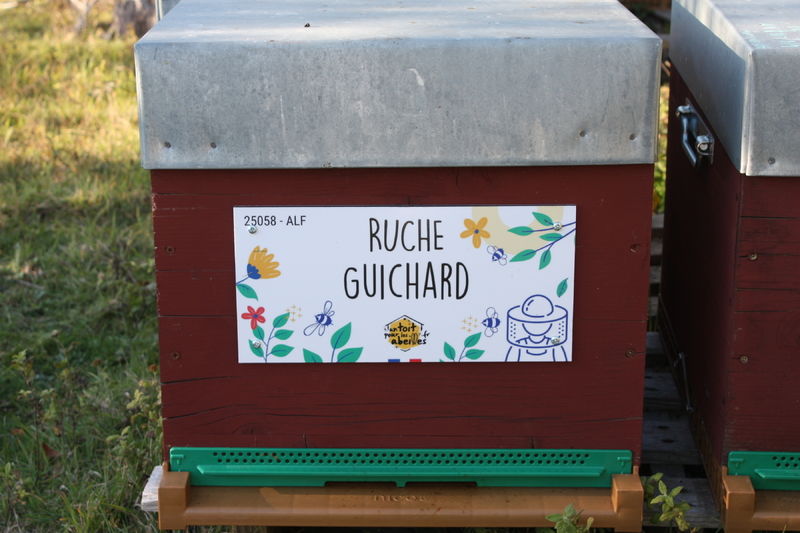 La ruche Guichard