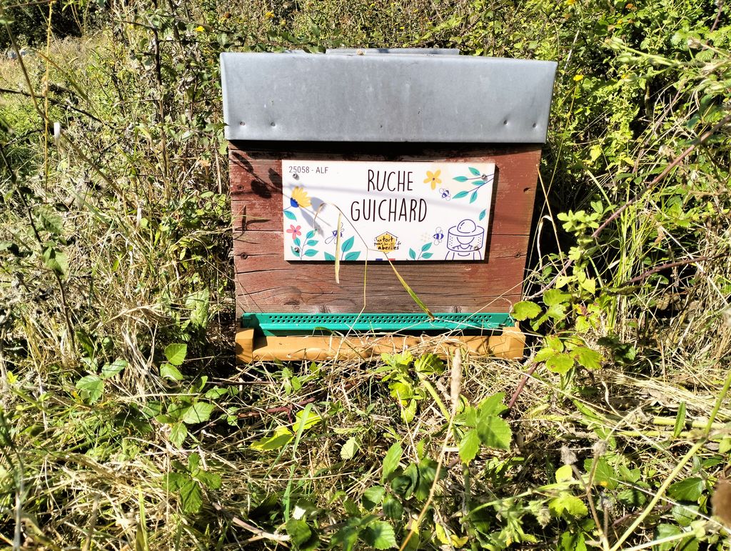 La ruche Guichard