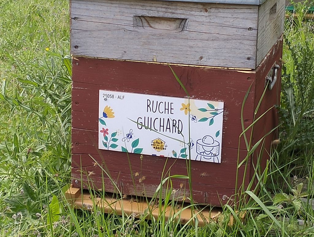 La ruche Guichard