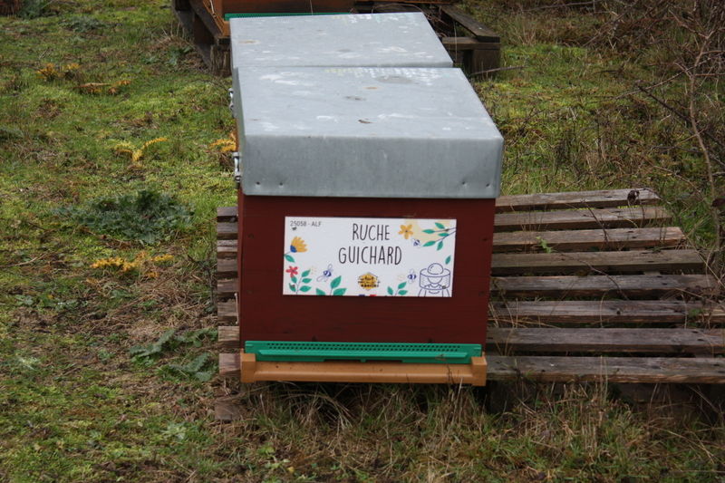 La ruche Guichard