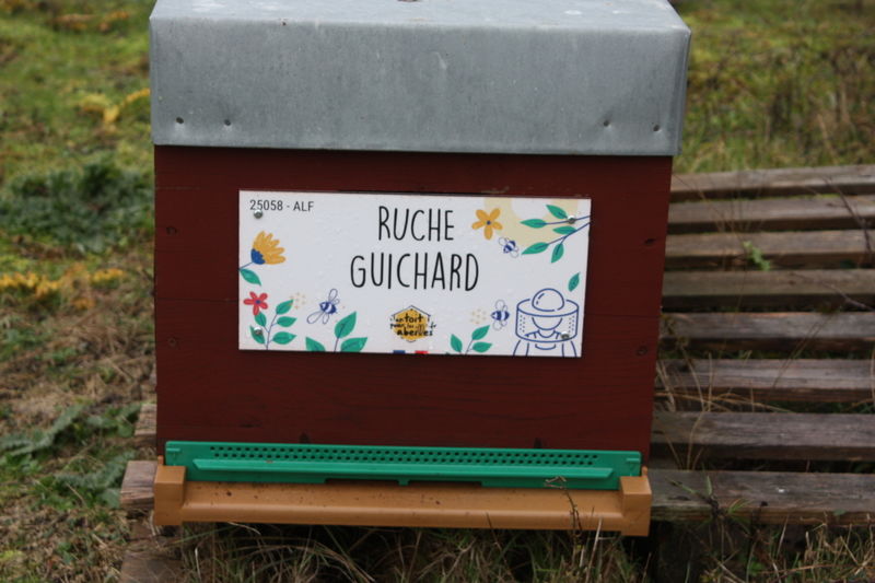 La ruche Guichard