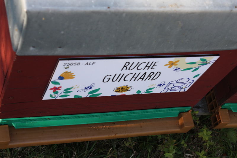 La ruche Guichard