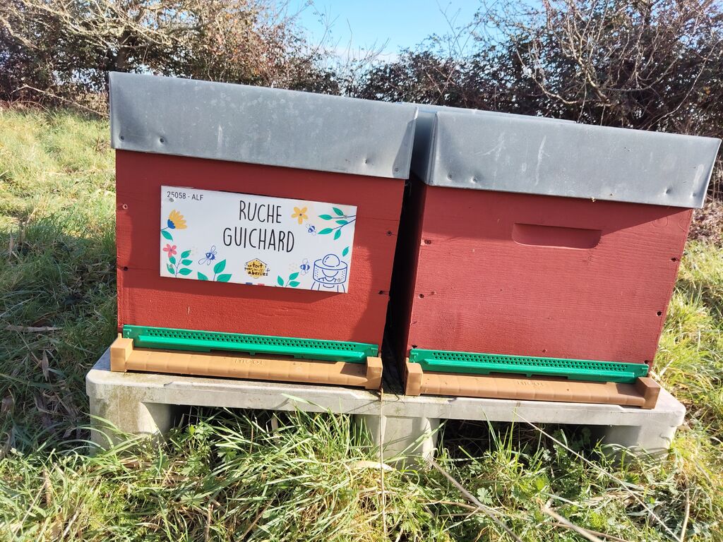 La ruche Guichard