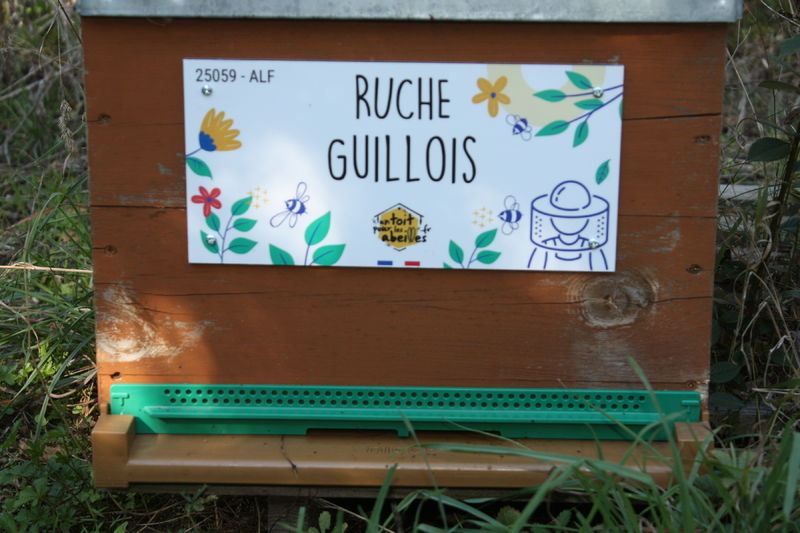 La ruche Guillois
