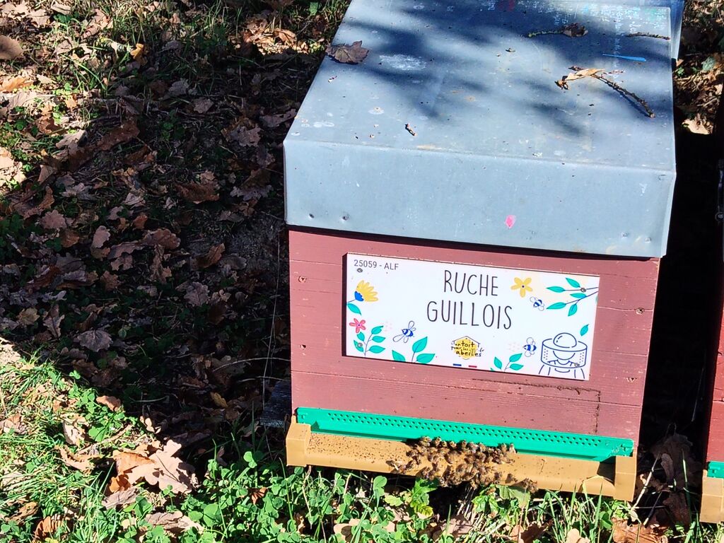 La ruche Guillois